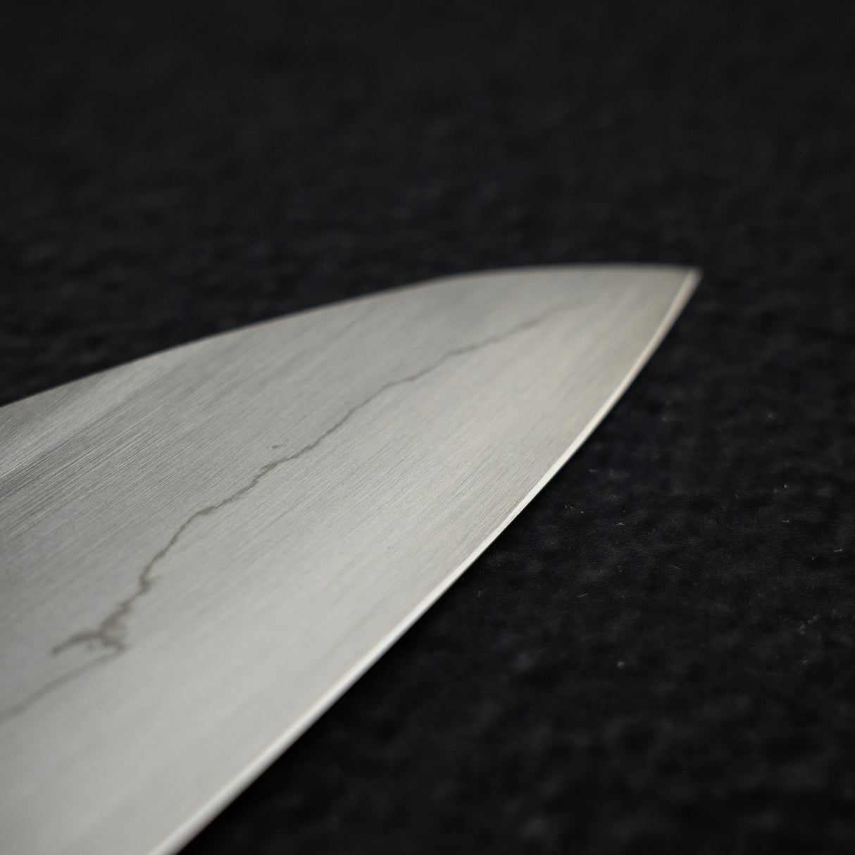 Nakagawa Ginsan Wide Bevel Kasumi Gyuto 210mm Ebony Handle