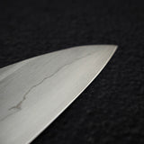 Nakagawa Ginsan Wide Bevel Kasumi Gyuto 210mm Ebony Handle