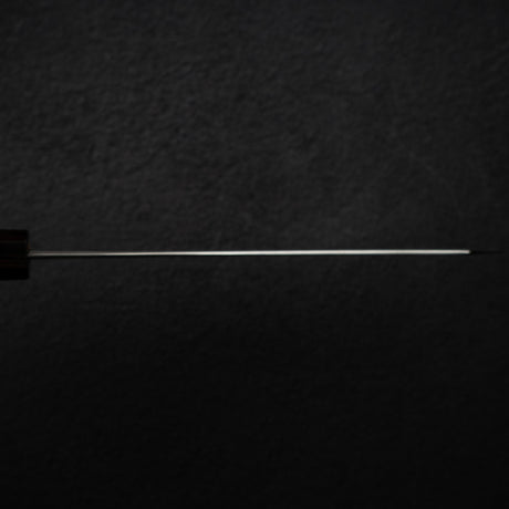 Nakagawa Ginsan Wide Bevel Kasumi K-tip Gyuto 210mm Ebony Handle