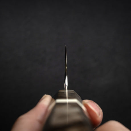 Hatsukokoro Ginga ATS34 Damascus Bunka 180mm