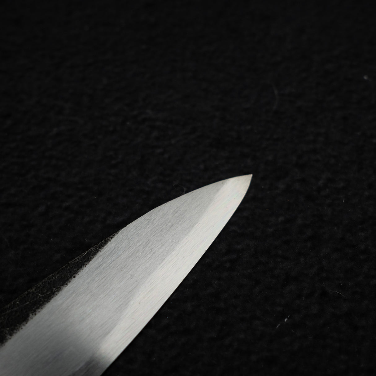 Hatsukokoro x Myojin Shirasagi Blue 2 Kurouchi Yanagiba 240mm