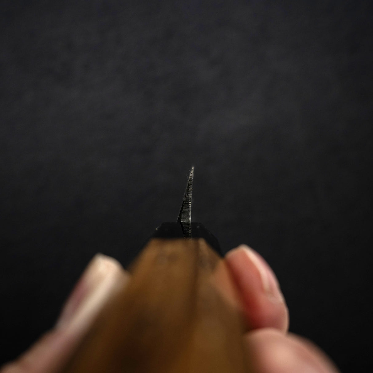 Hatsukokoro x Myojin Shirasagi Blue 2 Kurouchi Yanagiba 240mm