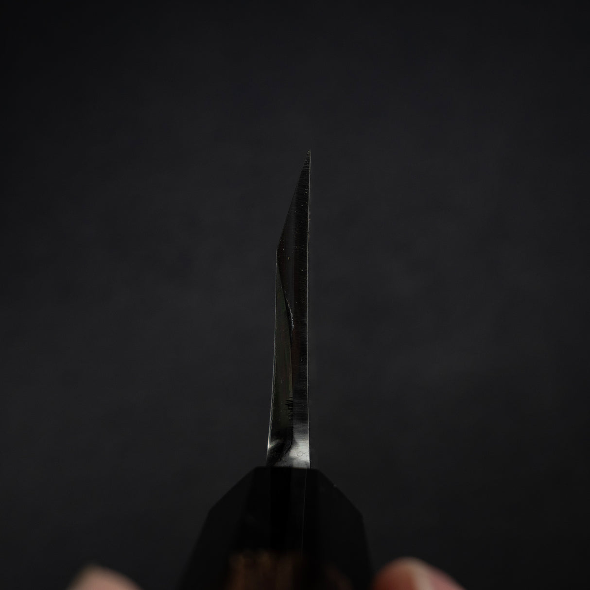 Hatsukokoro x Myojin Shirasagi White 2 Deba 210mm