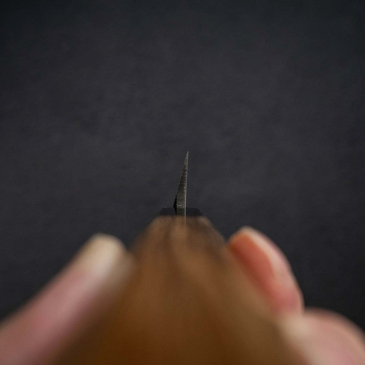 Hatsukokoro x Myojin Shirasagi Blue 2 Kurouchi Yanagiba 270mm