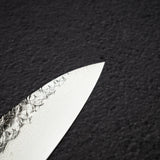 Sakai Takayuki SPG2 Tsuchime Damascus Gyuto 210mm