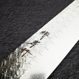 Sakai Takayuki SPG2 Tsuchime Damascus Gyuto 210mm