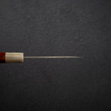 Takeshi Saji VG10 Rainbow Damascus Etched Paring 90mm