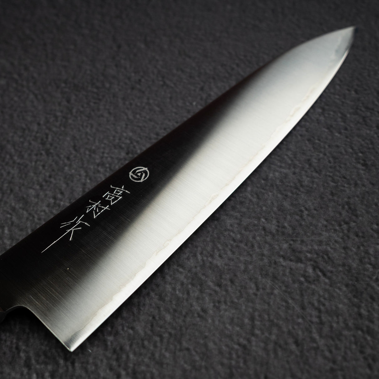 Takamura SG2 Migaki Gyuto 180mm