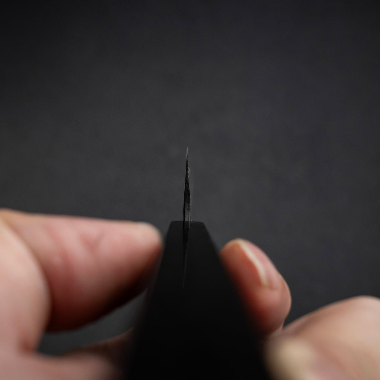 Tsunehisa Aogami Super Kurouchi Tsuchime Sujihiki 240mm