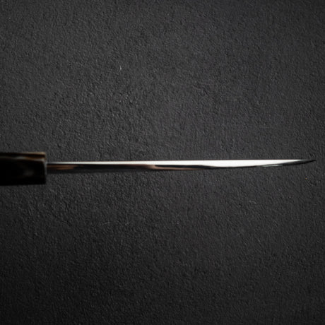 Nakagawa Ginsan Migaki Deba 165mm