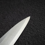 Tosa Bokashi SK Steel Yanagiba 270mm