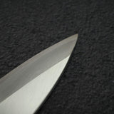 Hatsukokoro x Myojin Shirasagi White 2 Left Handed Mioroshi Deba 210mm