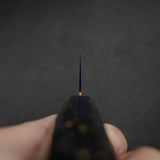 初心 Ryuhyo SG2大馬士革 彩虹 切付牛刀 210mm