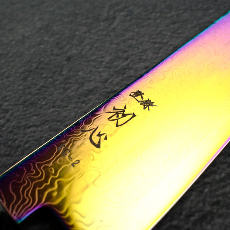 Hatsukokoro Ryuhyo SG2 Damascus Rainbow Gyuto 210mm