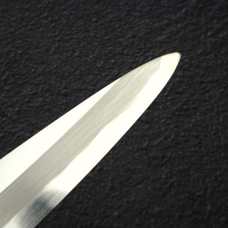 Sakai Takayuki 'Fujitanren' Blue 2 Yanagiba 300mm by Itsuo Doi w/ Saya