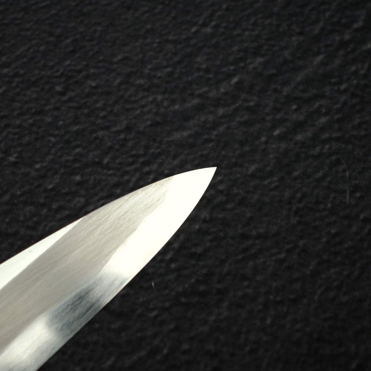 Sakai Takayuki 'Fujitanren' Blue 2 Yanagiba 300mm by Itsuo Doi w/ Saya