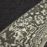 Takeshi Saji SG2 Black Damascus Santoku 180mm Birchwood Handle