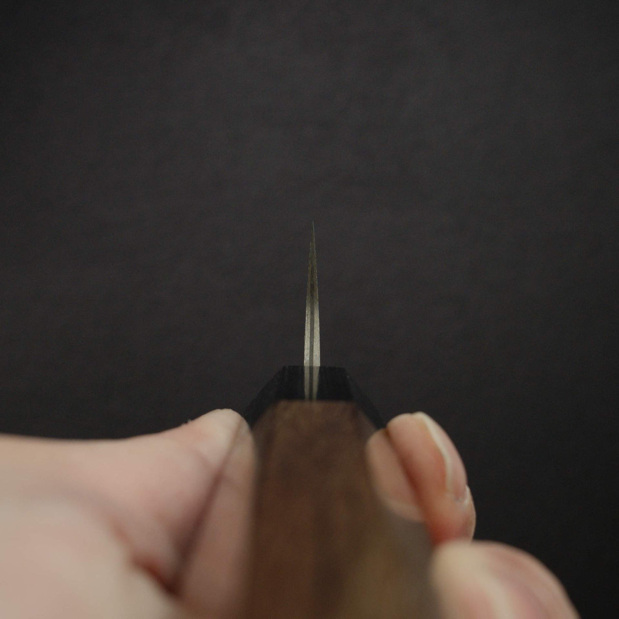 佐治武士 SG2 鋼 黑大馬士革 筋引 240mm 紫檀木柄