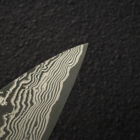 Takeshi Saji SG2 Black Damascus Gyuto 210mm Rosewood Handle