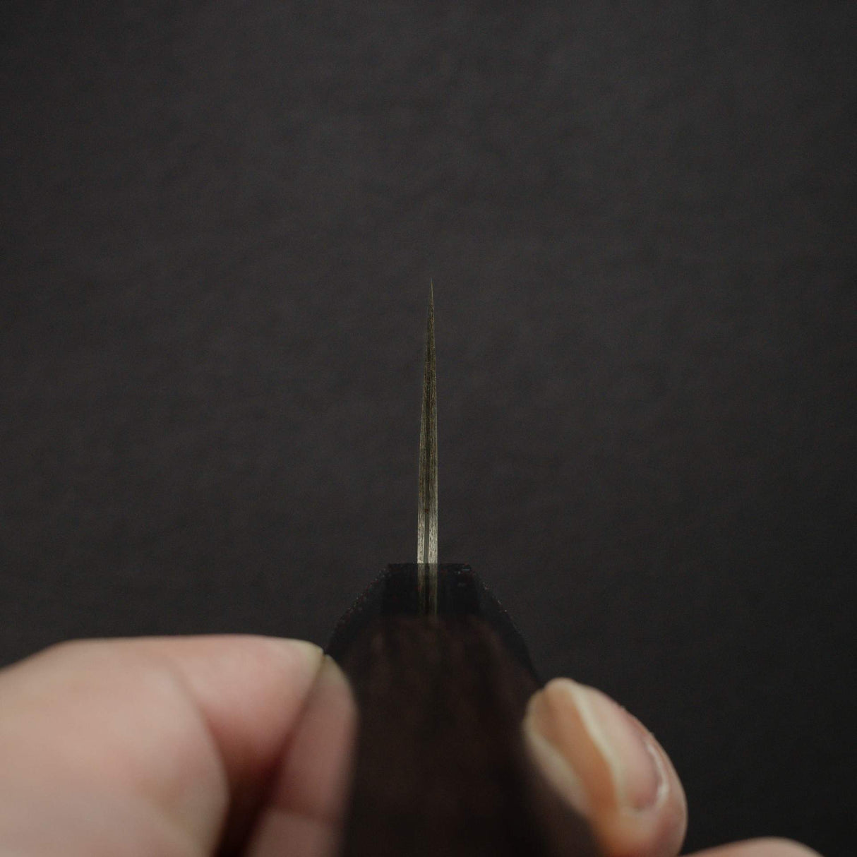 Takeshi Saji SG2 黑大馬士革牛刀 210mm 紫檀木手柄