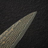 Takeshi Saji VG10 Gold Damascus Sujihiki 270mm
