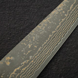Takeshi Saji VG10 Gold Damascus Sujihiki 270mm