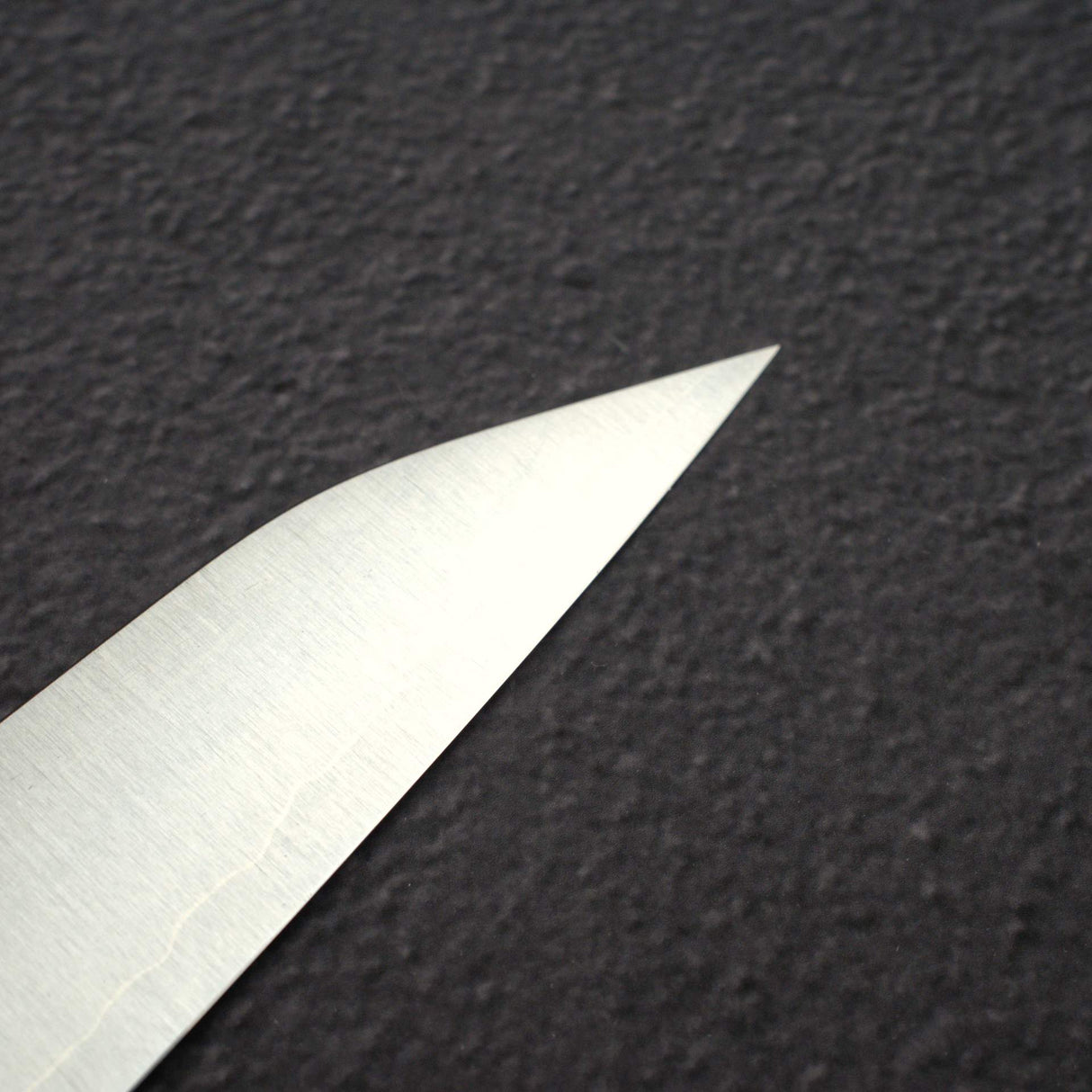 柴田崇行 Koutetsu Chromax鋼 切付 筋引 240mm