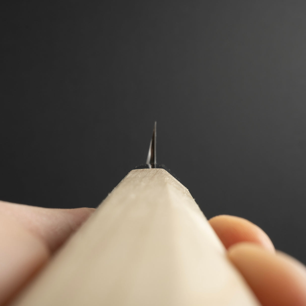 Sakai Takayuki Ginsan Yanagiba 300mm