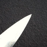 加藤義實 Hyo SG2 筋引 270mm