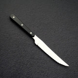 Seki Sekikanetsugu Stainless Steel Steak Knife