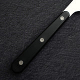 Seki Sekikanetsugu Stainless Steel Steak Knife