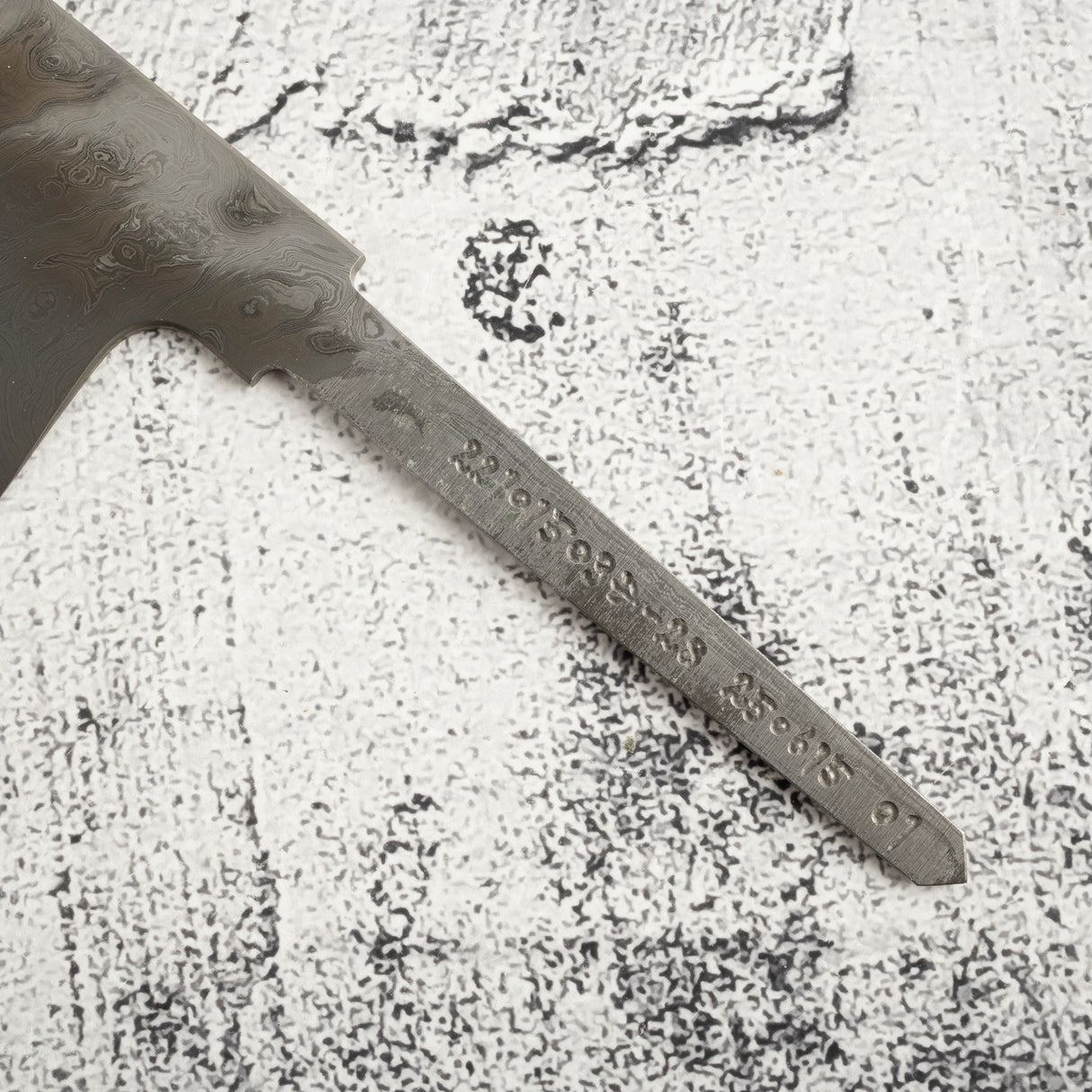 Exotic: Shoichi Hashimoto (橋本庄市) Chihaya (ちはやふる・千早)  Blue / White Coreless Gyuto 210mm