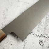 Exotic: Shoichi Hashimoto (橋本庄市) Zaregumo (ざれぐも・戯雲)  Blue / White Coreless Gyuto 270mm