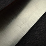 Tsunehisa Ginsan Migaki Gyuto 210mm, Black Chacate Handle