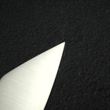 Sukenari SG2 Hairline K-tip Gyuto 240mm, Ebony Handle with Blonde/Marble Ferrule