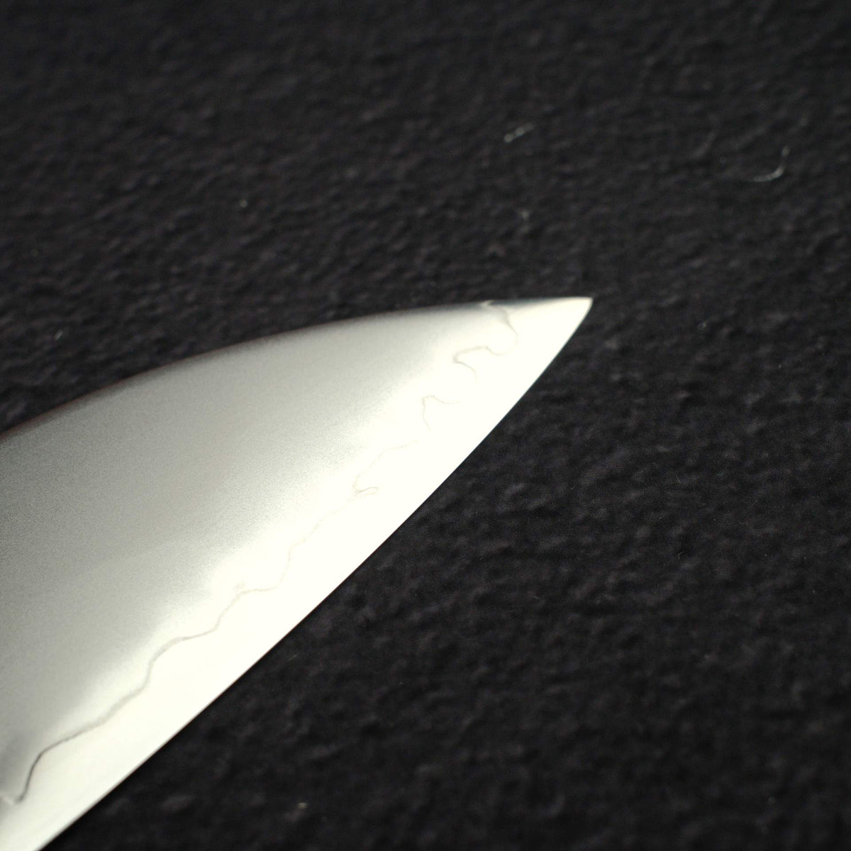 Hatsukokoro Hayabusa Chromax Gyuto 210mm, Ebony Handle