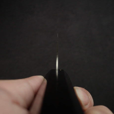 Hatsukokoro Hayabusa Chromax Gyuto 210mm, Ebony Handle