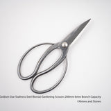 Golden Star "Kanetsugu" Stainless Bonsai Scissors by Kinboshi