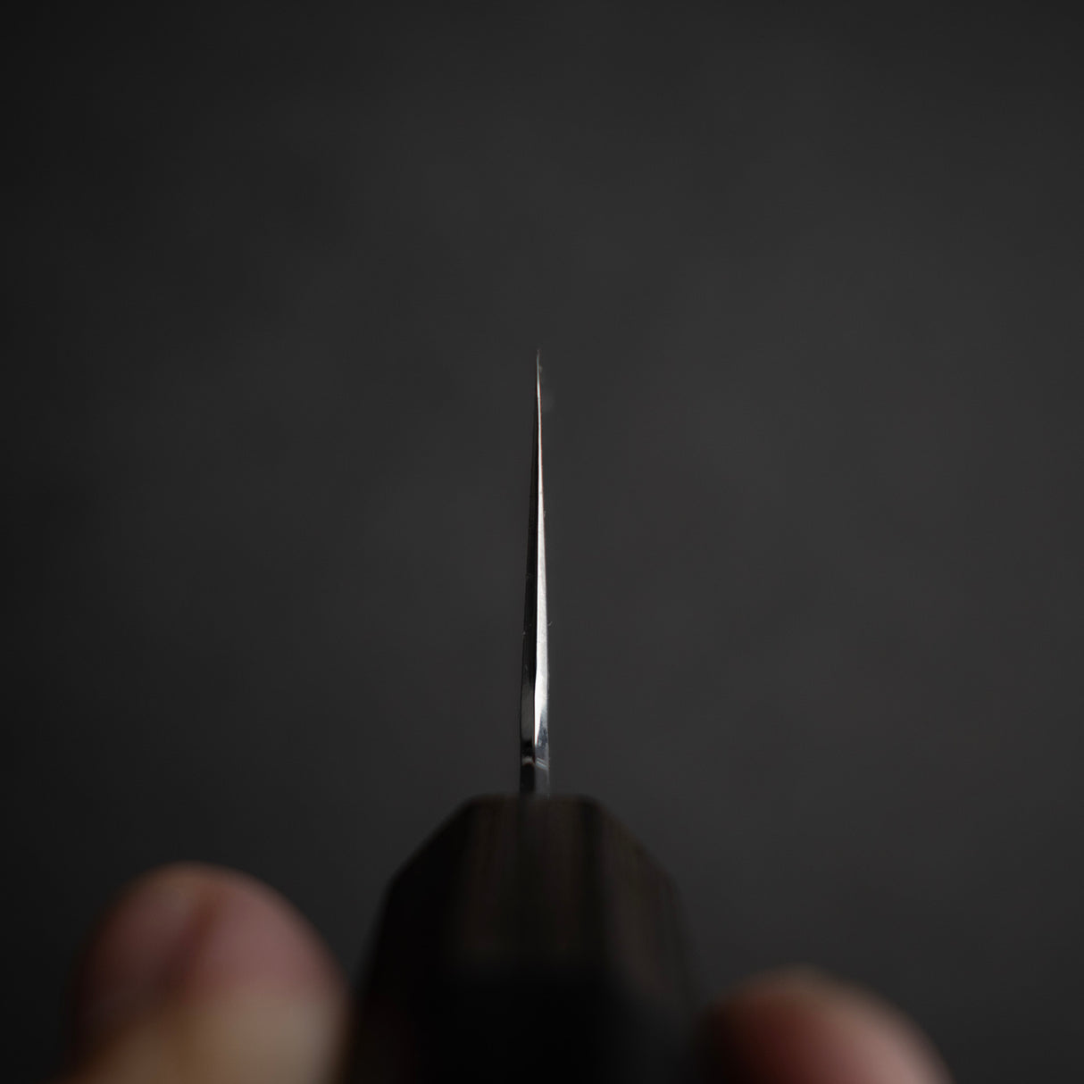 Hado Shiosai SG2 槌目 K-tip 牛刀 210mm