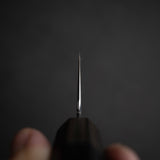 Hado Shiosai SG2 槌目 K-tip 牛刀 210mm