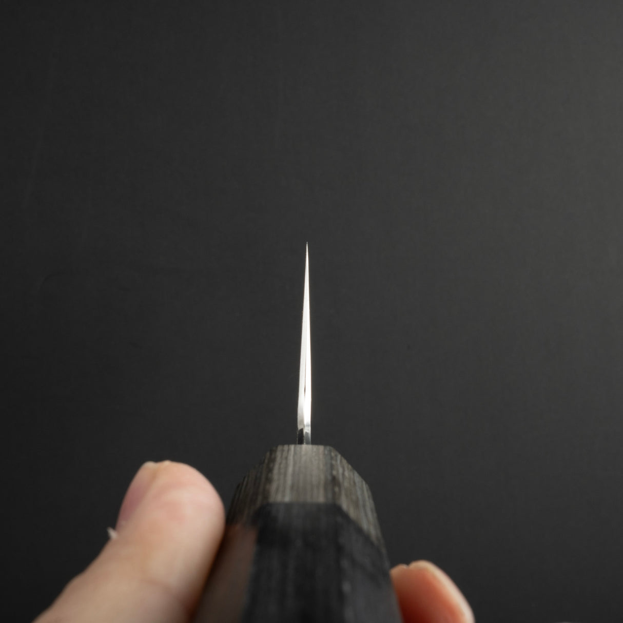 Hado Shiosai SG2 Tsuchime K-tip Gyuto 210mm