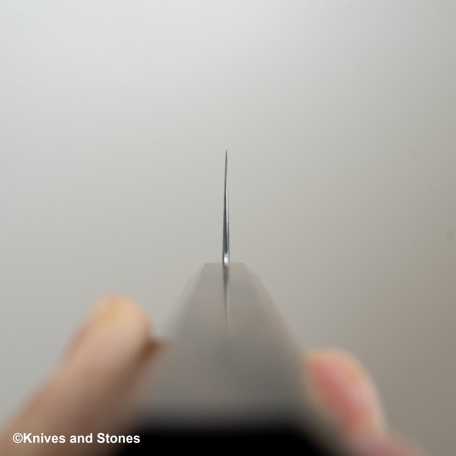 Hatstukokoro Hayabusa SG2 Migaki Santoku 180mm Black Chacate