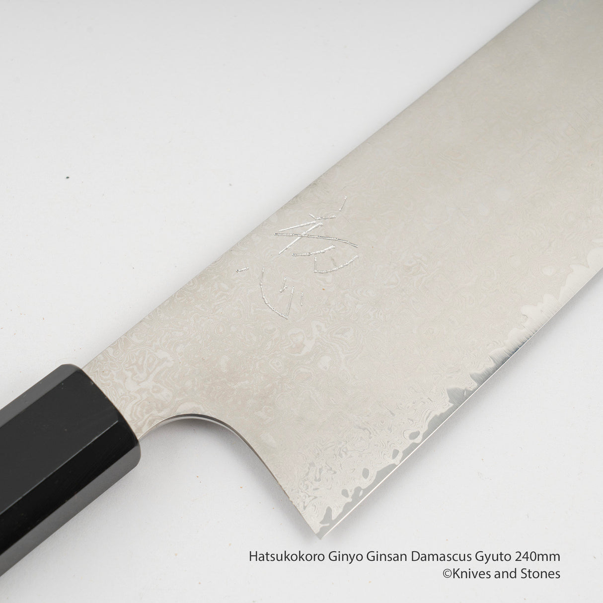 Hatsukokoro Ginyo Ginsan Damascus Gyuto 240mm