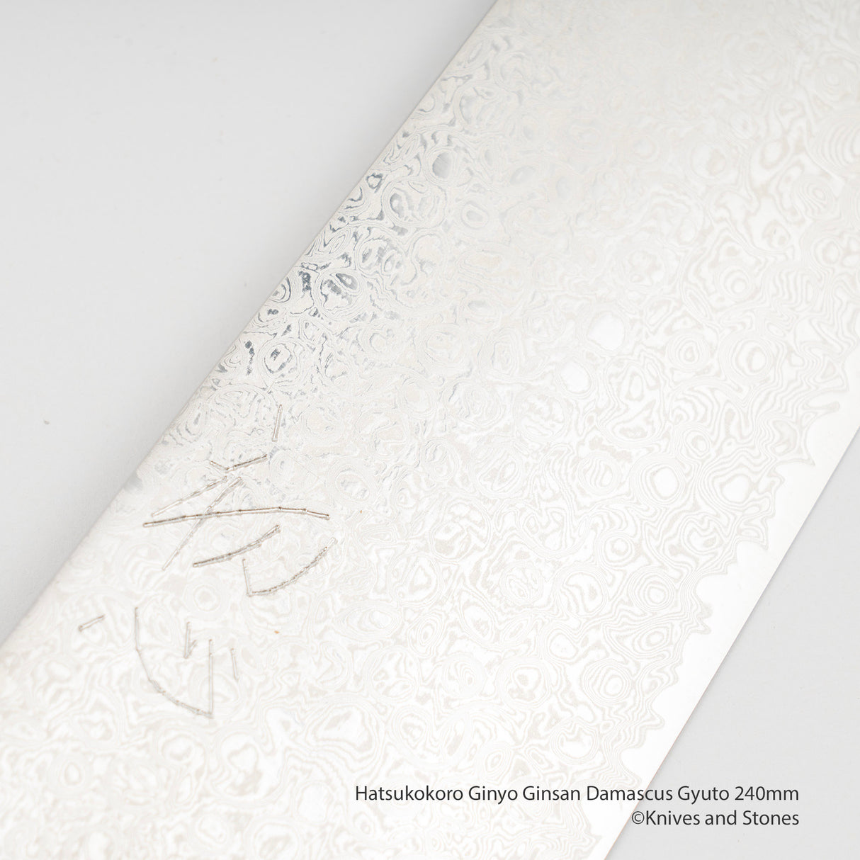 Hatsukokoro Ginyo Ginsan Damascus Gyuto 240mm