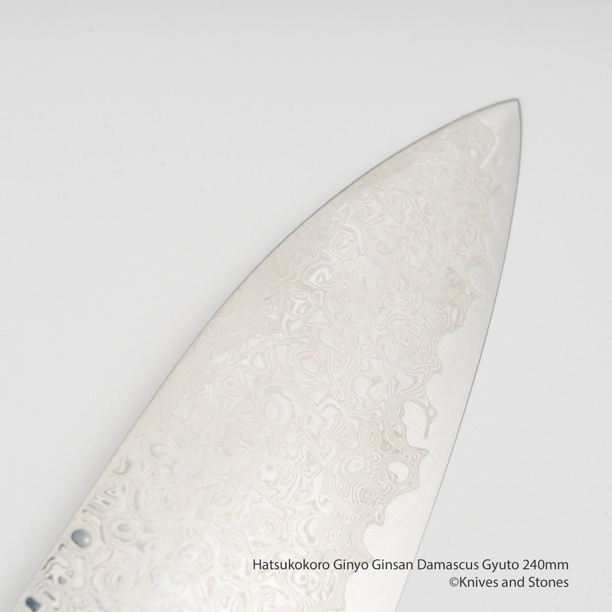 Hatsukokoro Ginyo Ginsan Damascus Gyuto 240mm