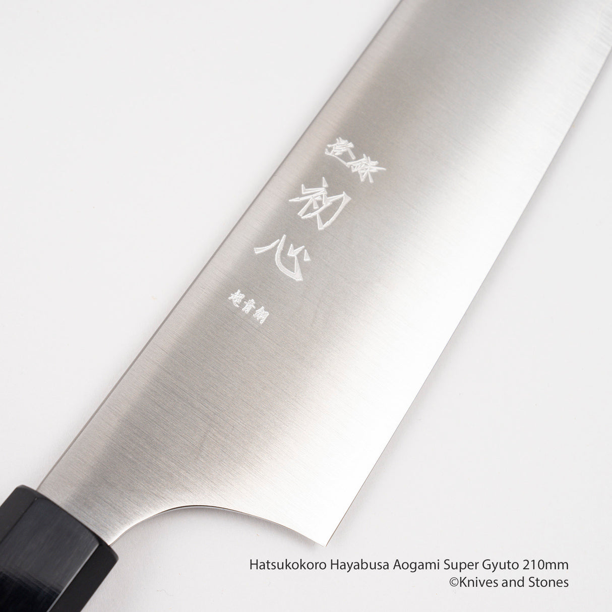 Hatsukokoro Hayabusa Aogami Super Gyuto 210/240 mm