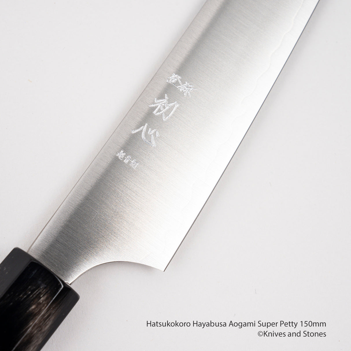 Hatsukokoro Hayabusa Aogami Super Petty 150mm