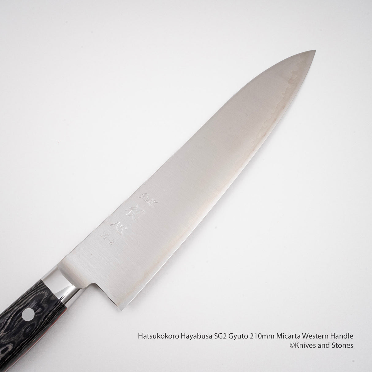 Hatsukokoro Hayabusa SG2 Gyuto 210mm Micarta Western Handle