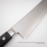 Hatsukokoro Hayabusa SG2 Gyuto 210mm Micarta Western Handle