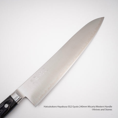 Hatsukokoro Hayabusa SG2 Gyuto 240mm Micarta Western Handle